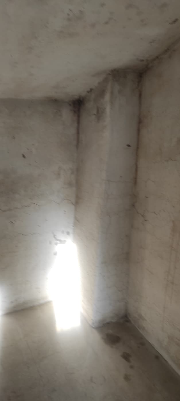 550_0021791448781614.jpg